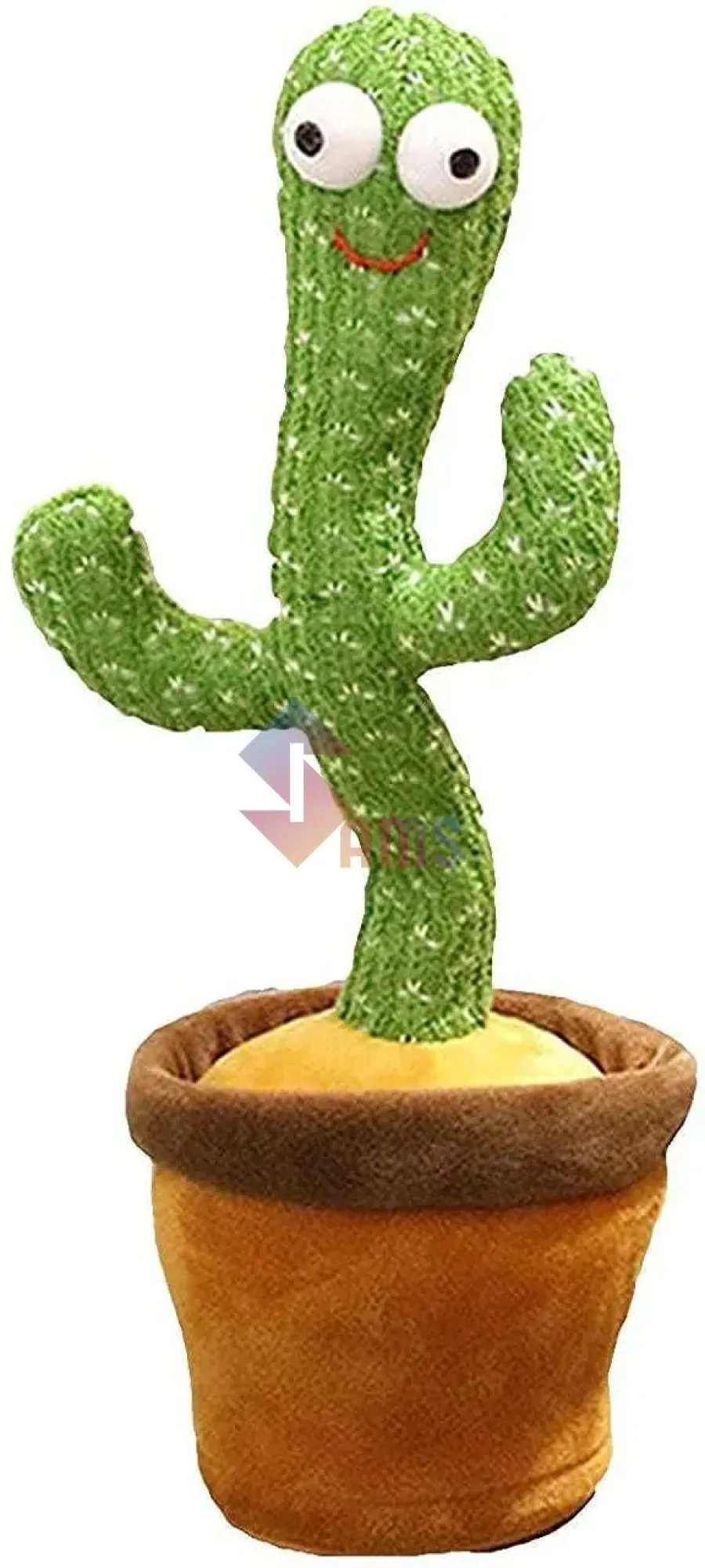 Dancingcactus1.webp