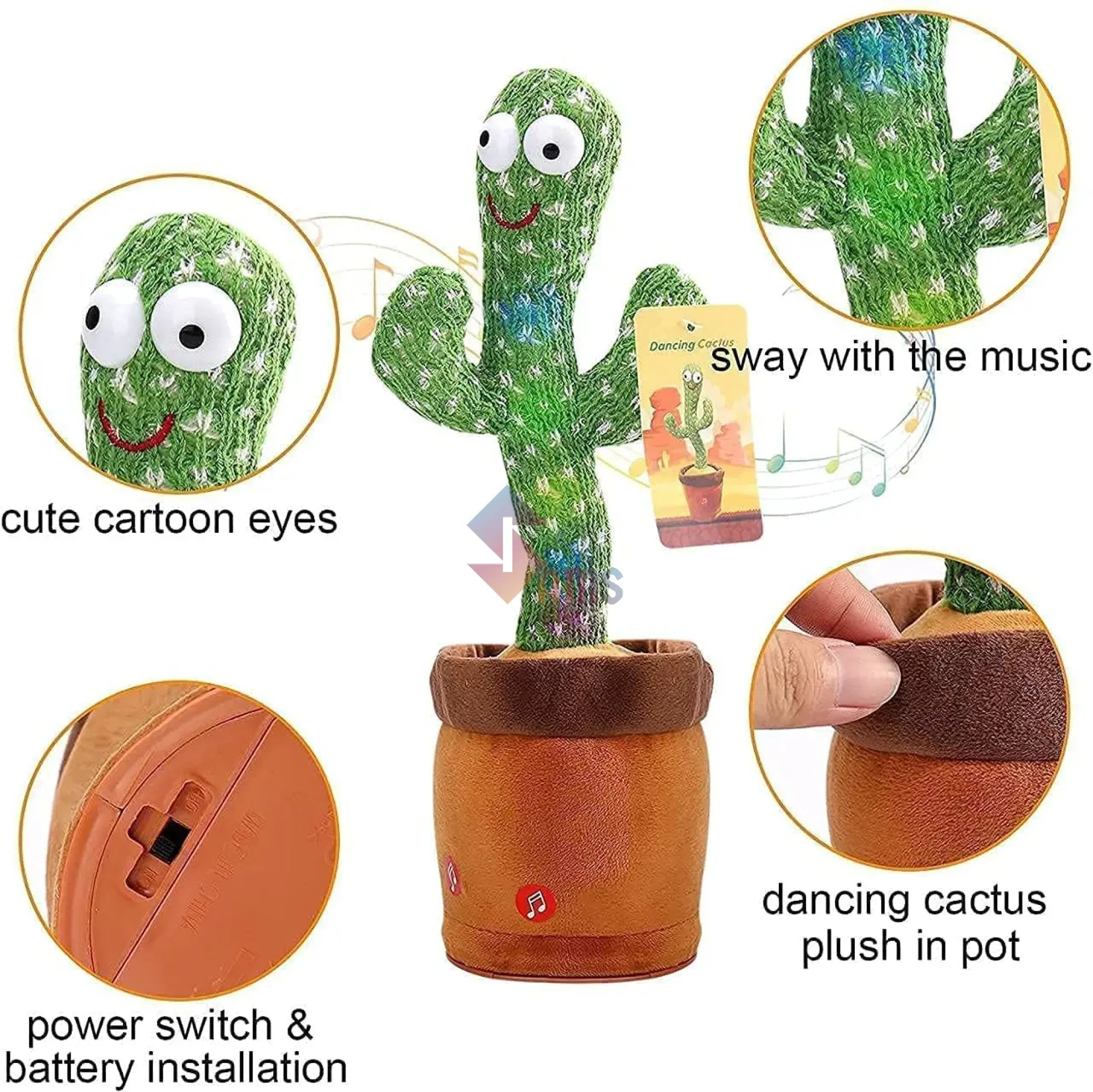 Dancingcactus2.webp