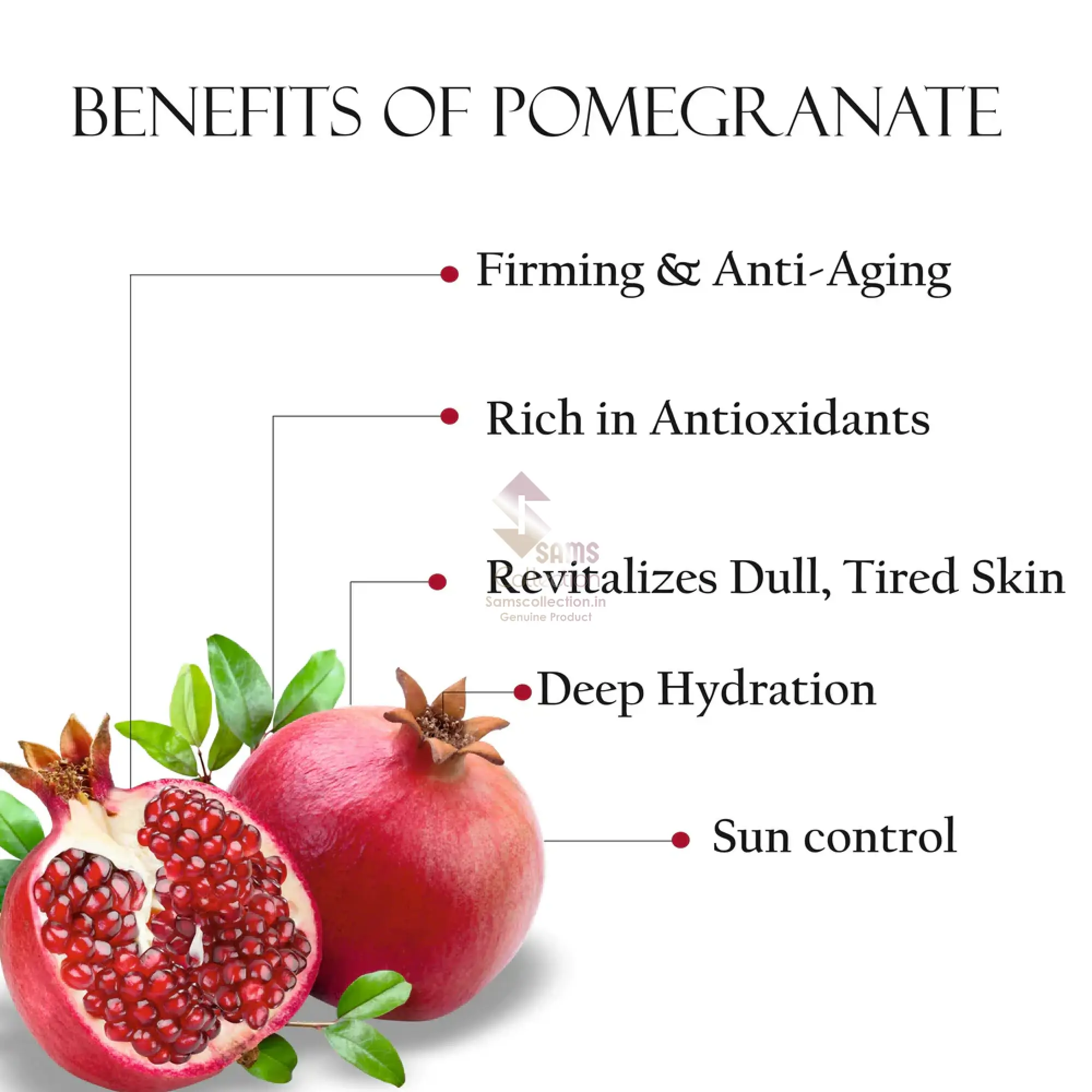 FM-POMEGRANATE_4.webp