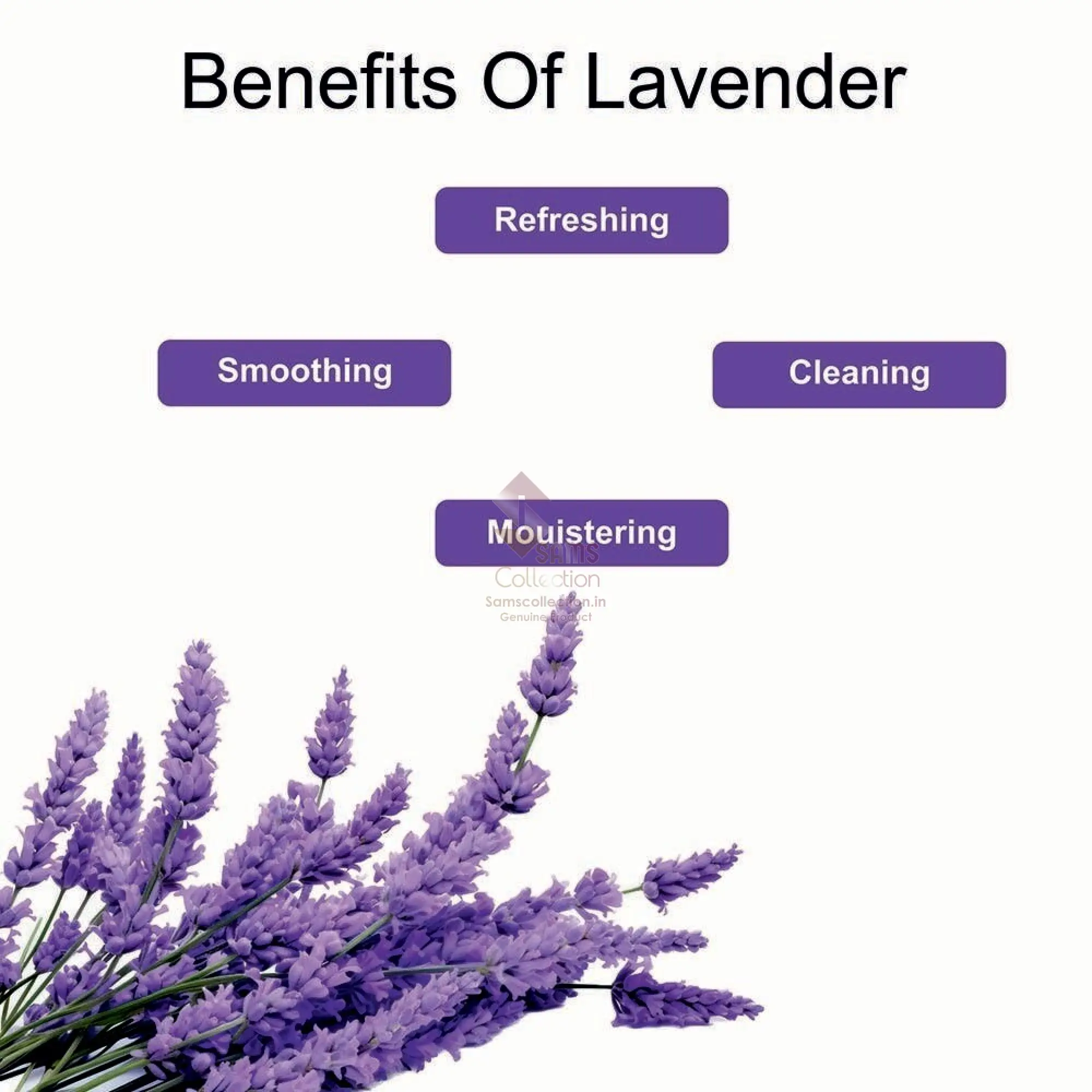 shills-professional-wet-wipes-lavender-product-images-orvkm3qyhaf-p612697058-3-202511031755.webp